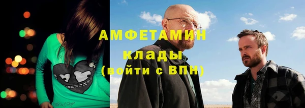 прущие грибы Аркадак