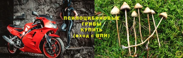 соль курить ск Армянск