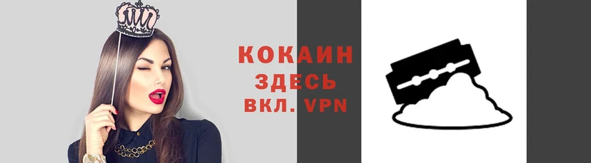 прущие грибы Аркадак