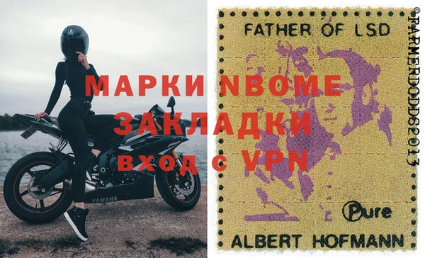 прущие грибы Аркадак