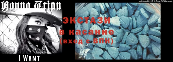 прущие грибы Аркадак